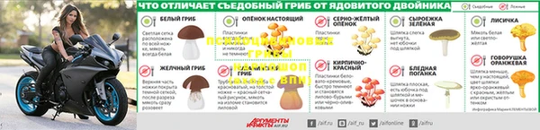 ALPHA-PVP Кинешма