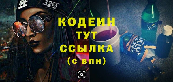 шишки Нестеровская